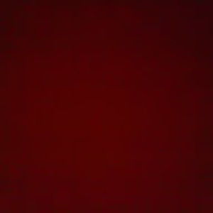 Meet your Posher, Gabriele